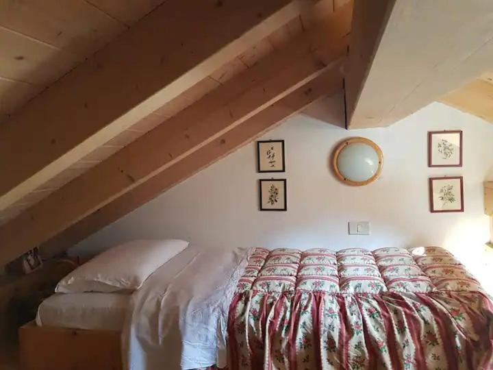スピアッツォ"Fresia" Chalet Turistico A Fistoアパートメント エクステリア 写真